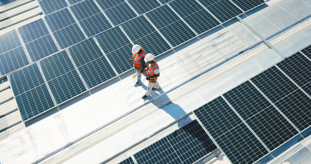 Best Roof Maintenance and Cleaning  in Westmont, IL